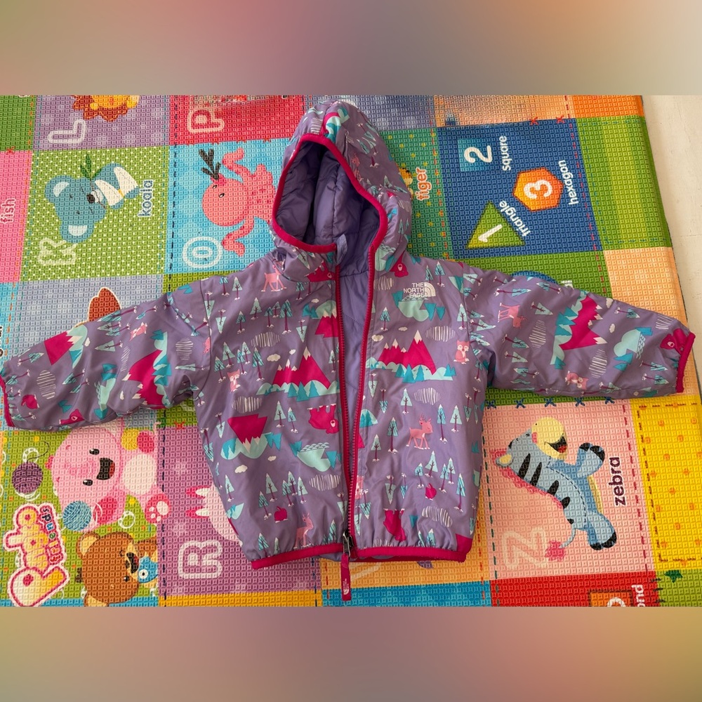 Reversible North face spring/fall jacket 18-24 months